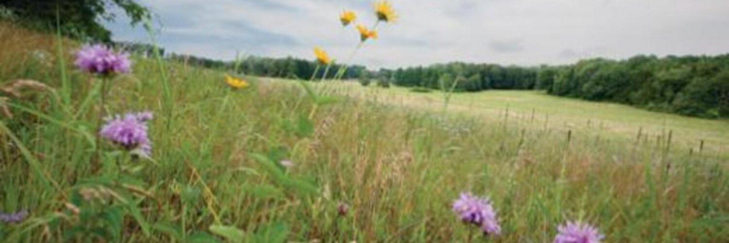 sanddountyfdn's profile banner image