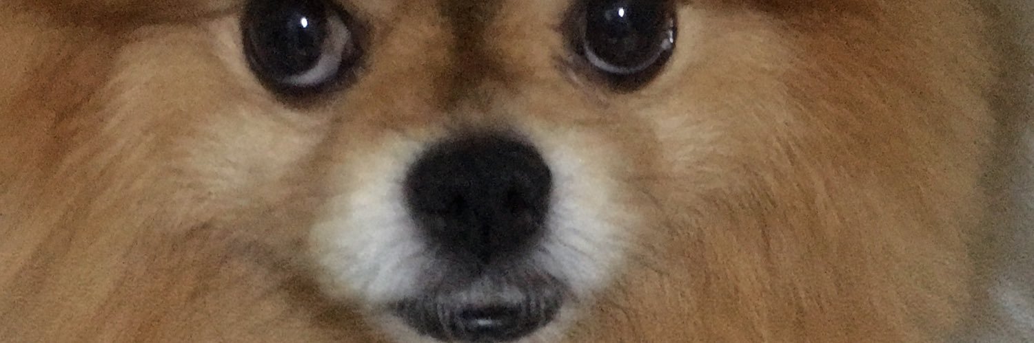 A_ltrujillo's profile banner image
