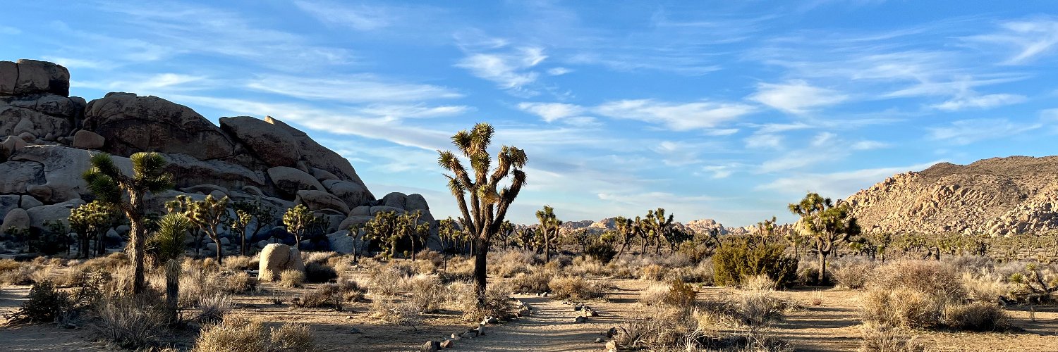 Nicole O'Donnell banner