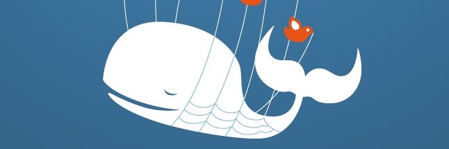 Surly Queen banner
