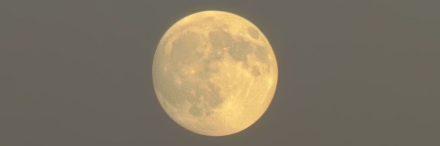 markhwally's profile banner image