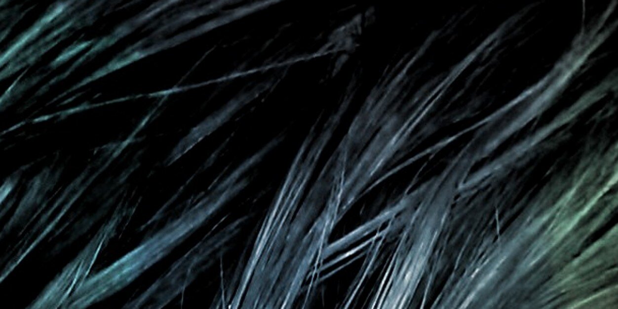 kubrakegor's profile banner image