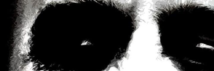 Patchooko509's profile banner image
