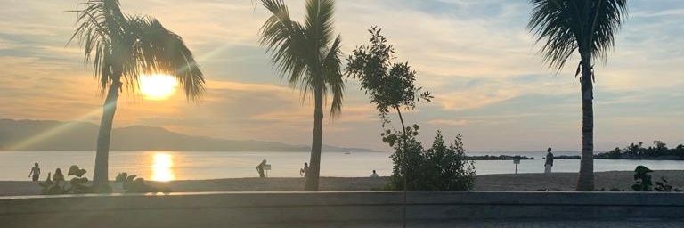 ____Reid's profile banner image