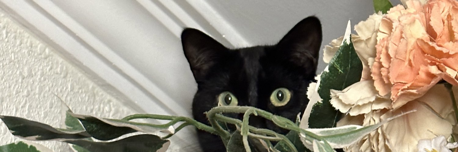 Sebas Vaca Torres banner