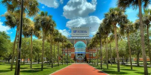 UFDelt's profile banner image