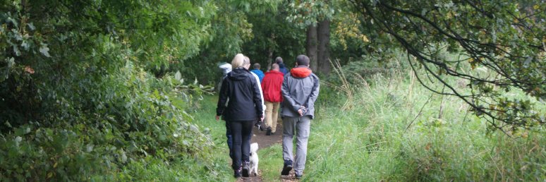 netwalkingscot's profile banner image