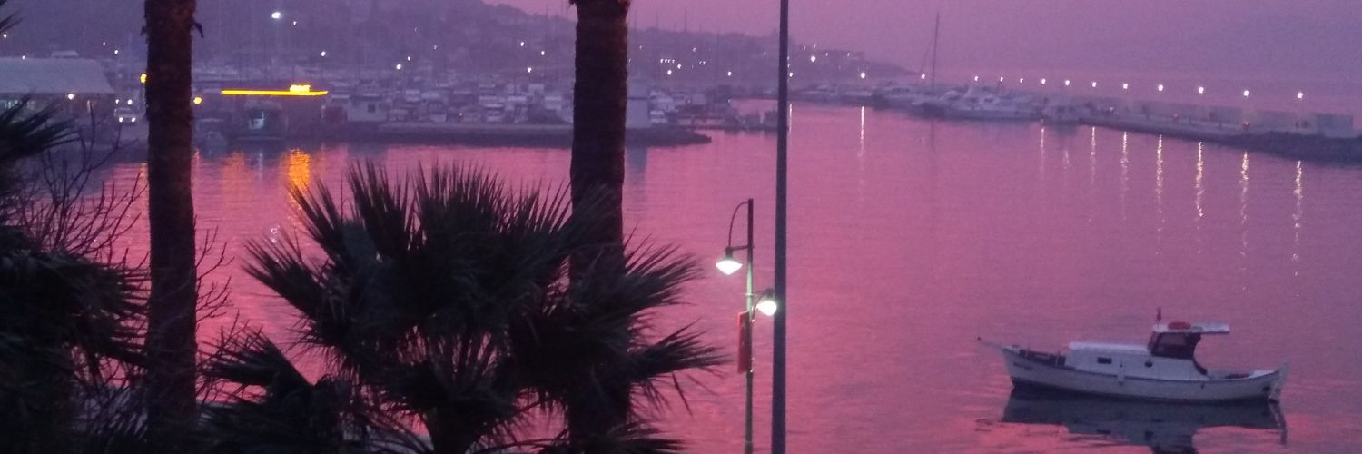 ahusebnem's profile banner image