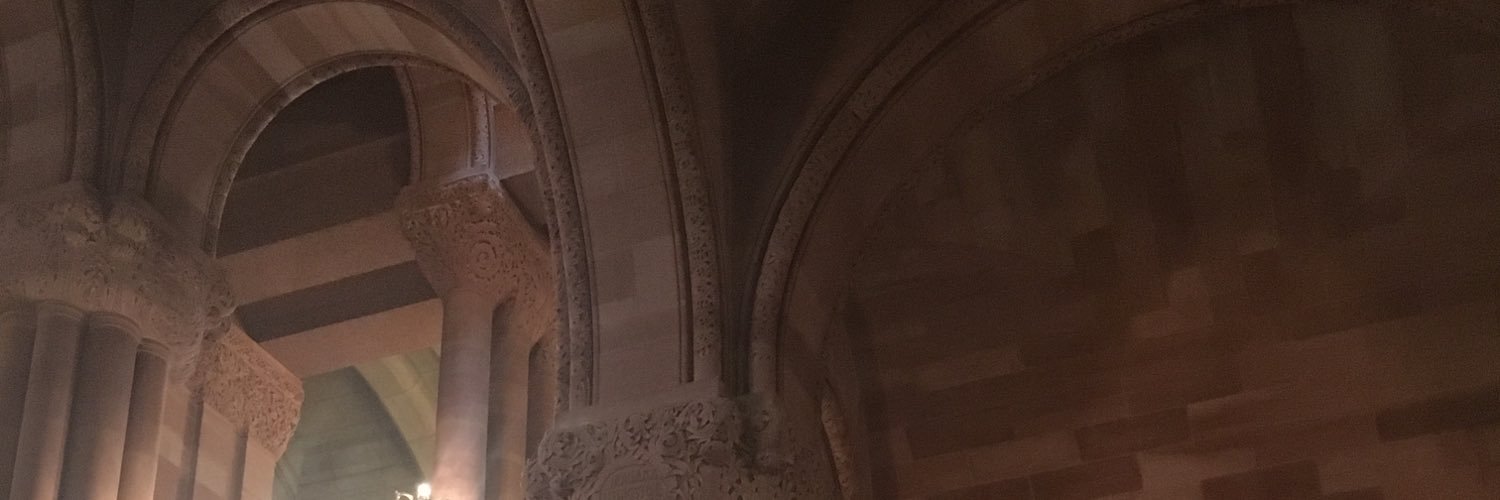Aryeal's profile banner image