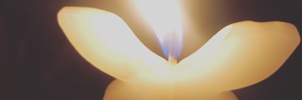 Mary_solChacon's profile banner image