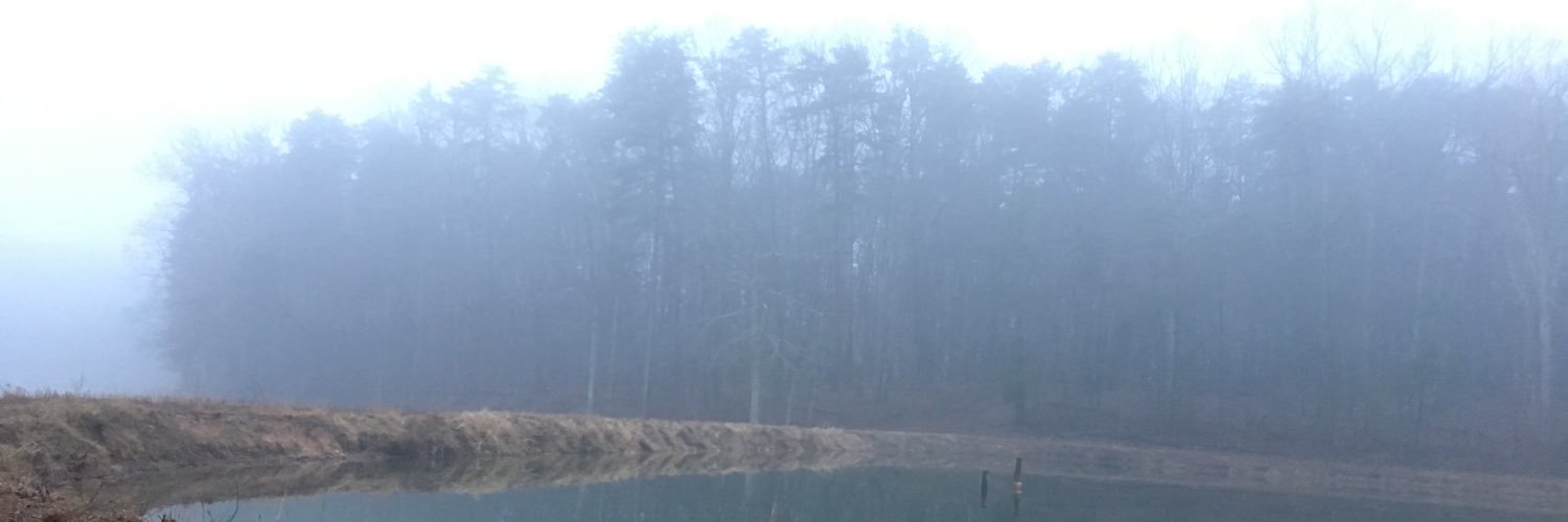 dmbasscarpenter's profile banner image