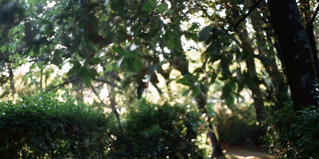 goristories's profile banner image