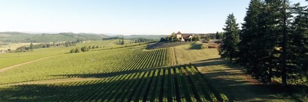 KingEstate Profile Banner