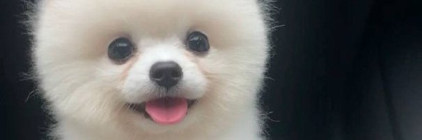 kendra_2018's profile banner image