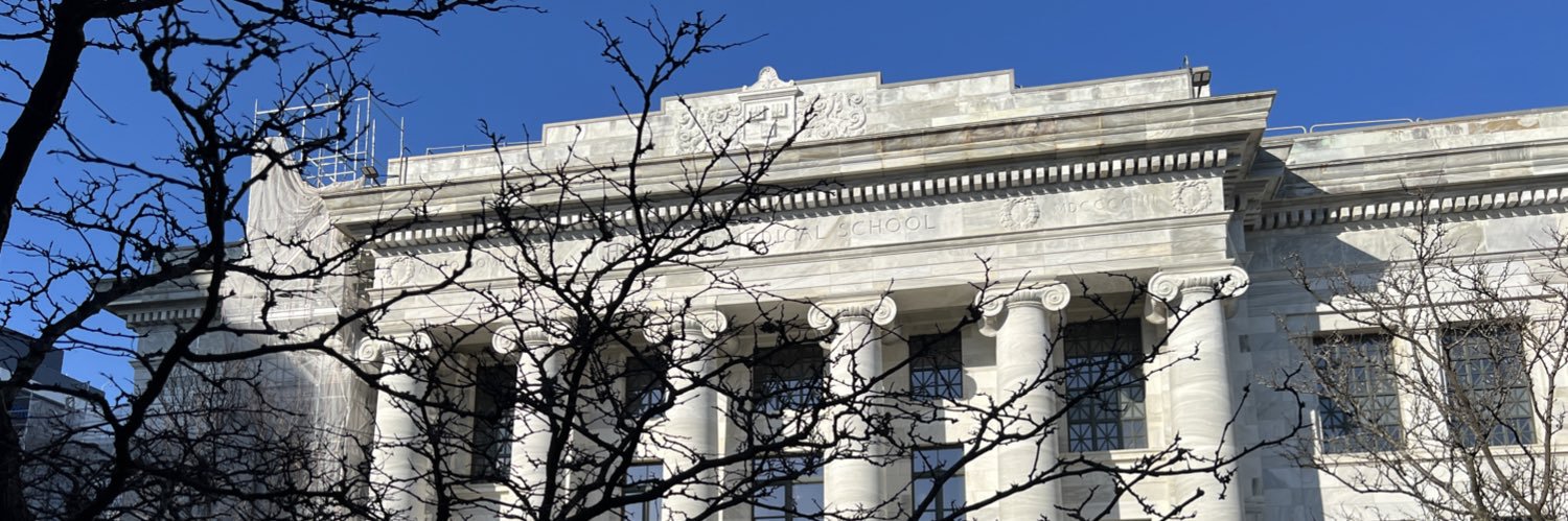 Noelle C. Bryan banner