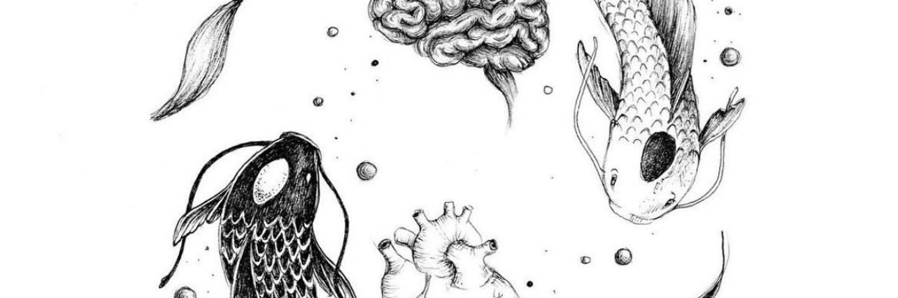 jamiix3's profile banner image