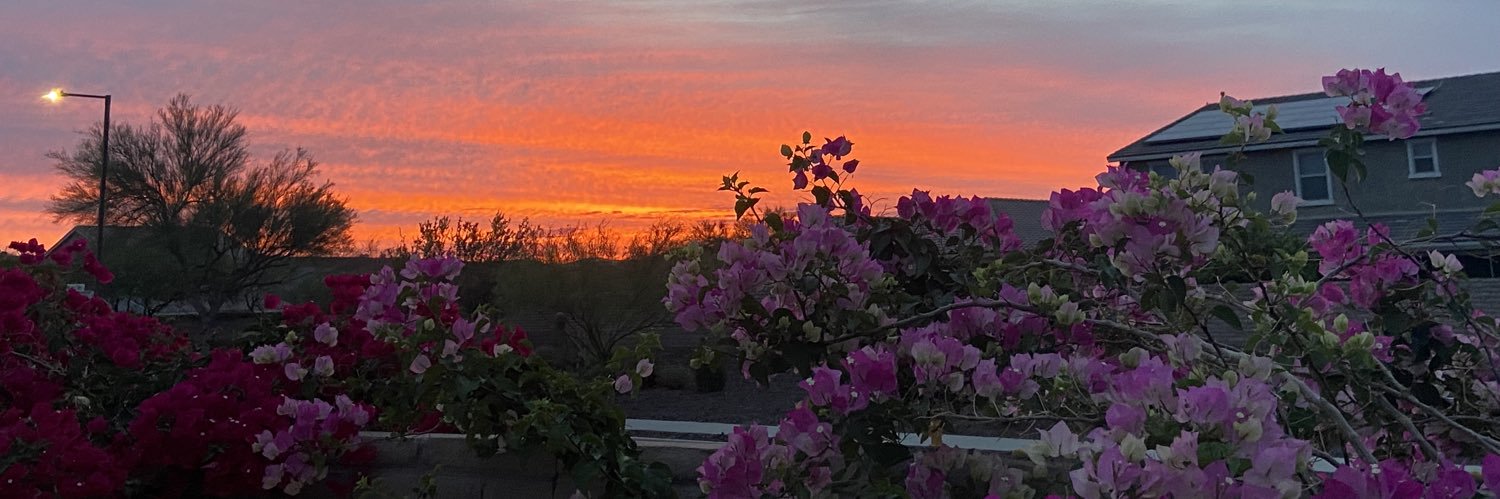 siouxlopez's profile banner image