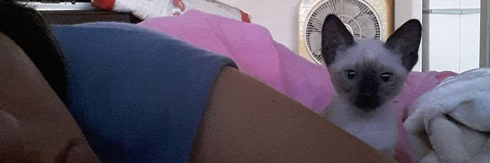 GuilleAgostinel's profile banner image