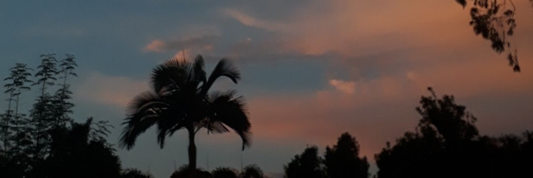 gomesmillena_'s profile banner image