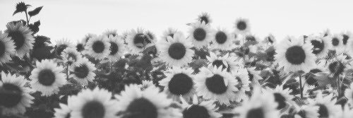 _beaurito_'s profile banner image