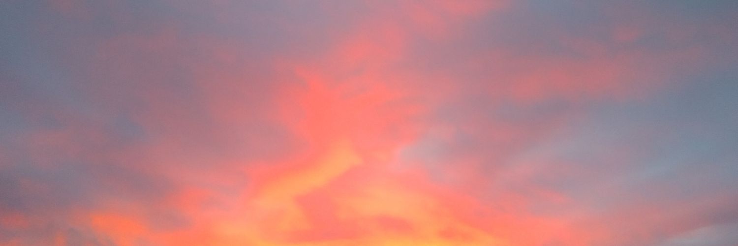 Ione_Ferranti's profile banner image