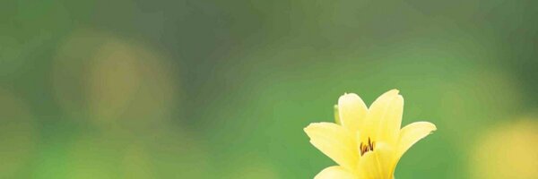 fuzzy_x Profile Banner