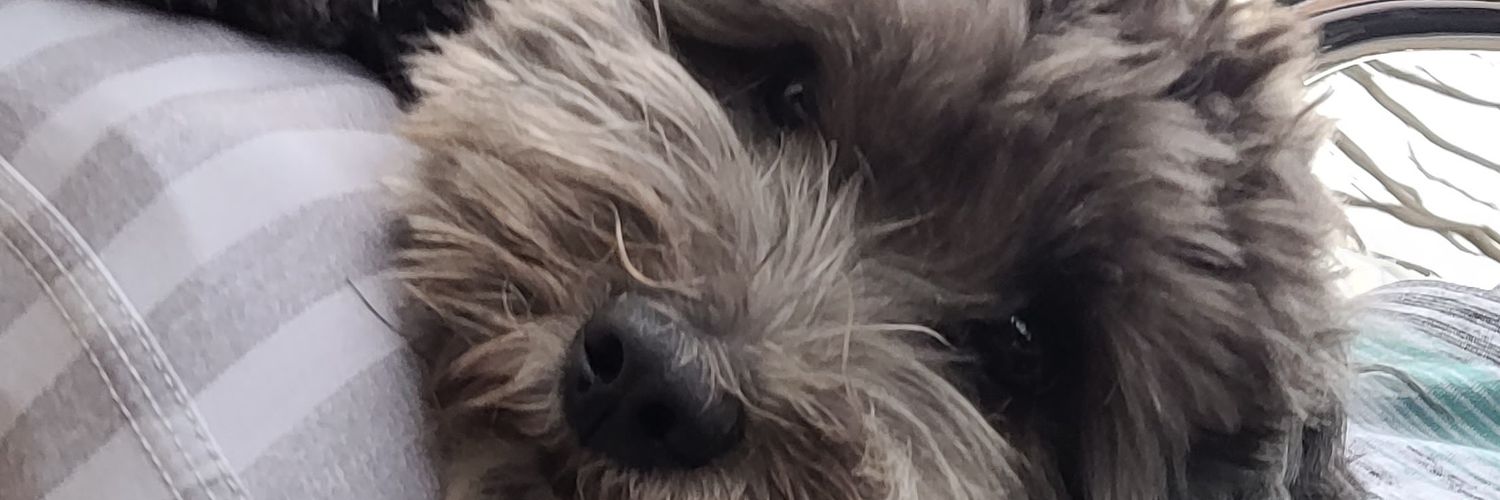 wjarz0's profile banner image