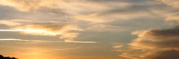 LucaBorneo Profile Banner