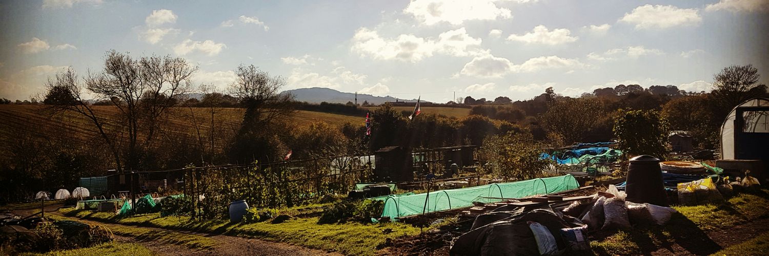 The Compost King banner