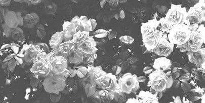 happinesserror's profile banner image