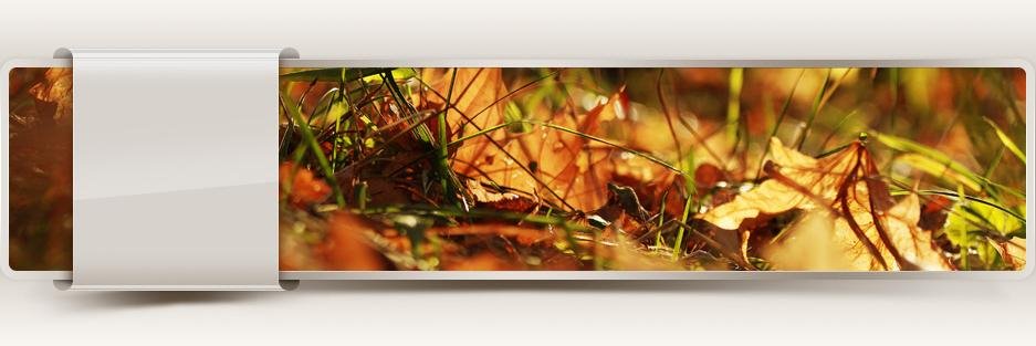 Olga_kms03's profile banner image