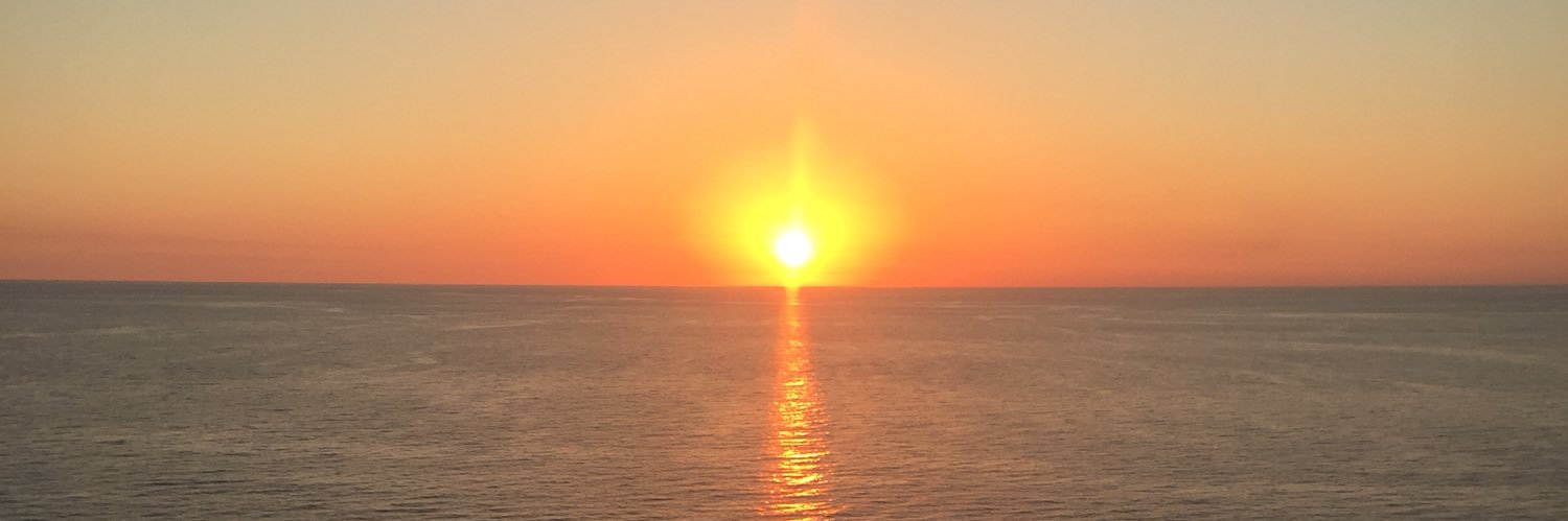 Kirsten Sarginger banner