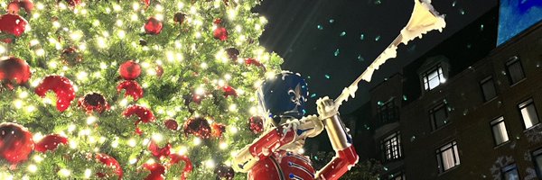 LBknowsBall Profile Banner