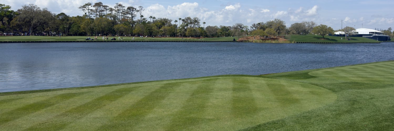 𝐿𝒶𝓊𝓇𝑒𝓃 𝐵𝑒𝒶𝓈𝓁𝑒𝓎 banner