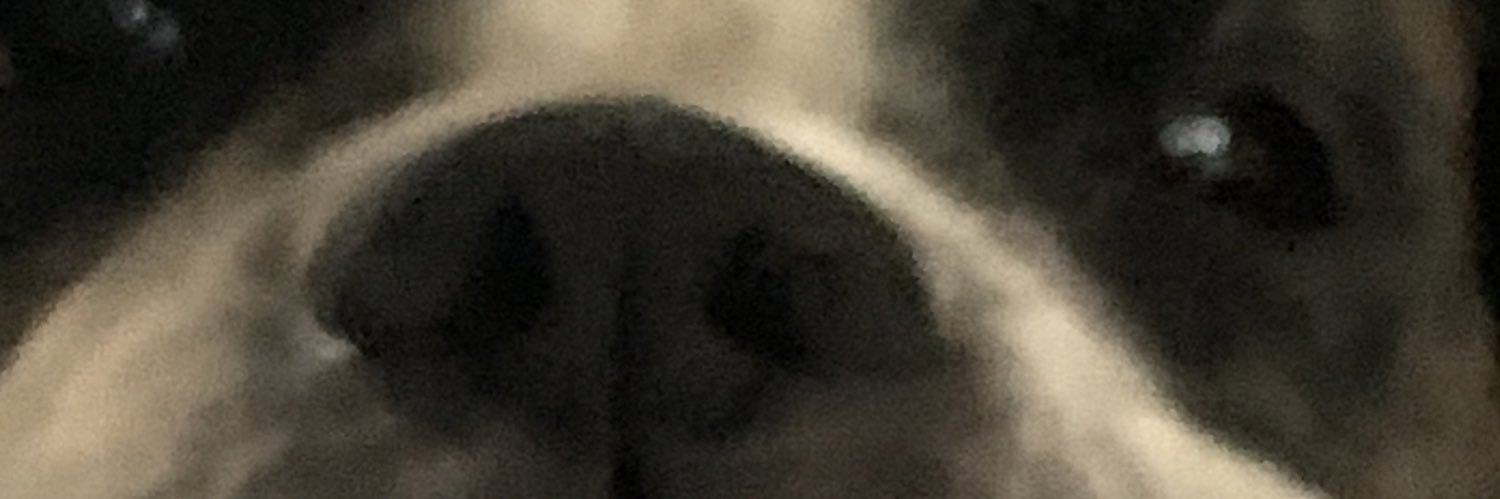 QueenMrs2 banner