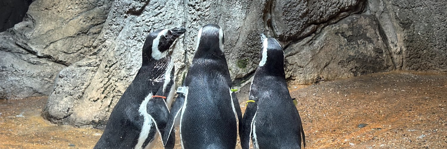 Michael E Martin banner