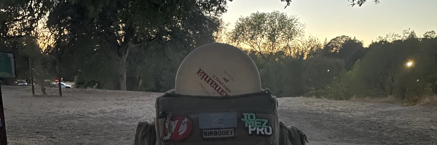 LostMuskateer's profile banner image