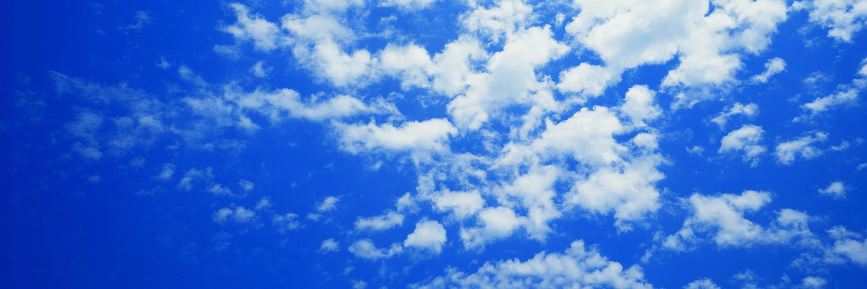 drobbins6bk's profile banner image