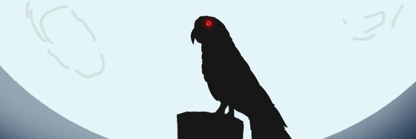 web cam parrot banner