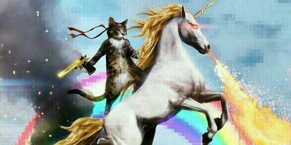 Im_Tweetin_Bro's profile banner image