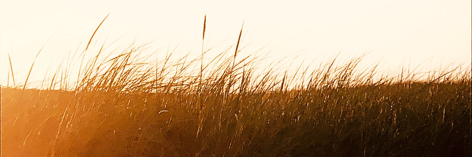 JennHagenbuch's profile banner image