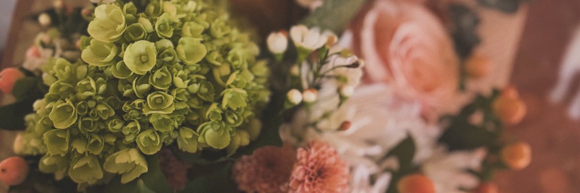 leslieecarr's profile banner image