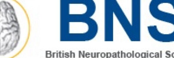 BNS_updates Profile Banner