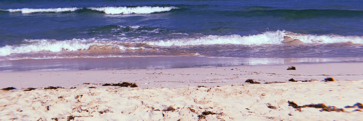 Andrea Sánchez banner