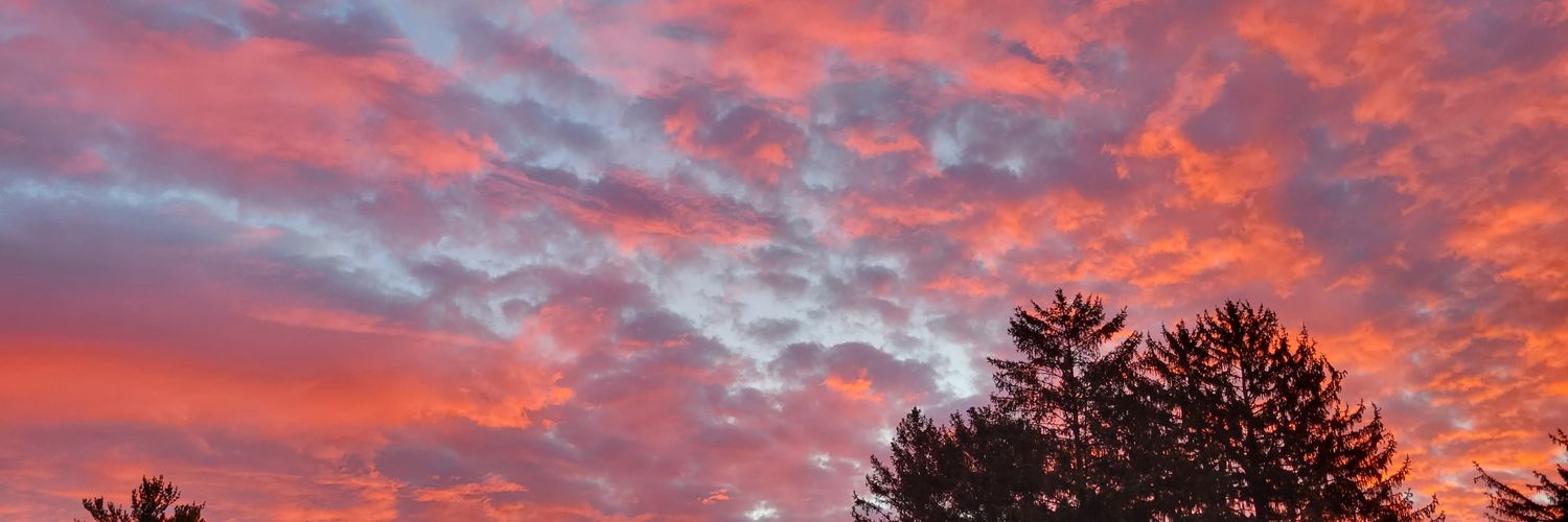 tesBrown's profile banner image
