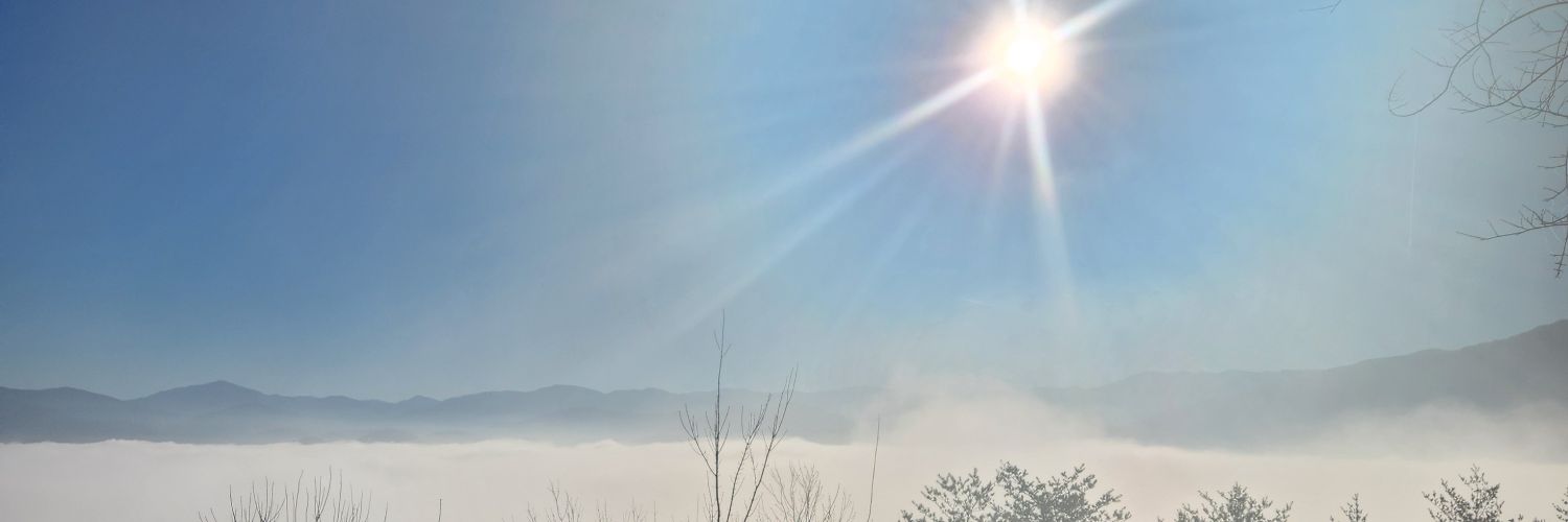 Unwill77's profile banner image