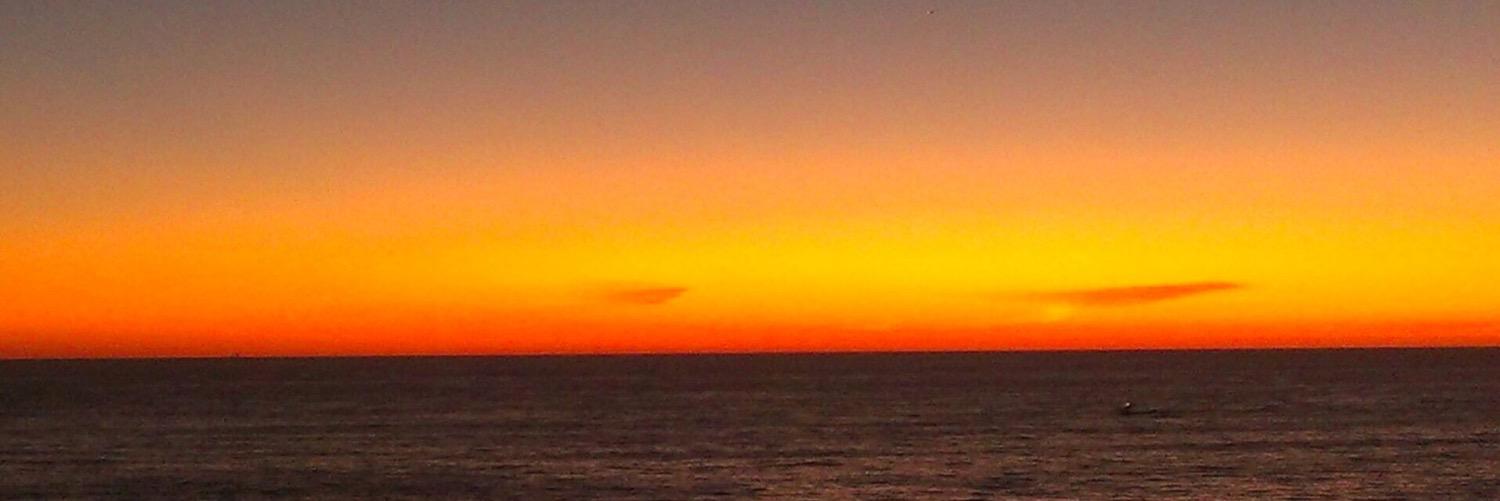Fish_Haus's profile banner image