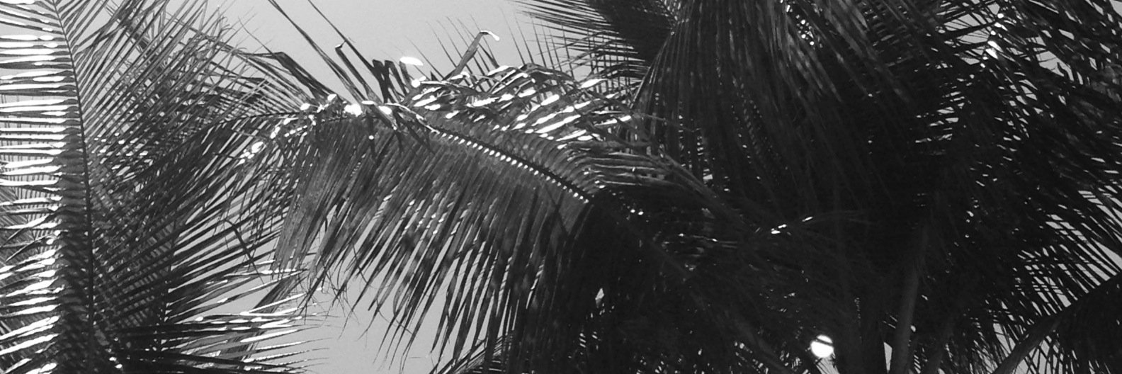 Julz_Noel's profile banner image