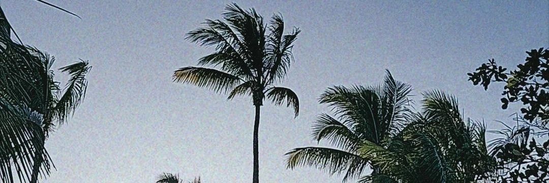 nattt_m's profile banner image