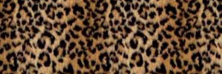 _xxTyra's profile banner image